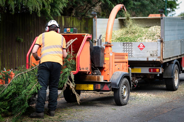 Best Lawn Drainage Solutions  in North Sarasota, FL